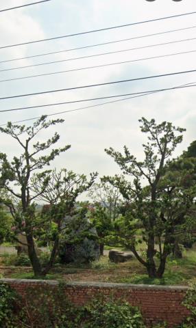 鹽水法拍農舍-10