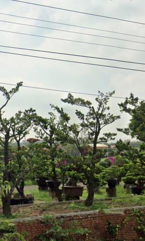 鹽水法拍農舍-11