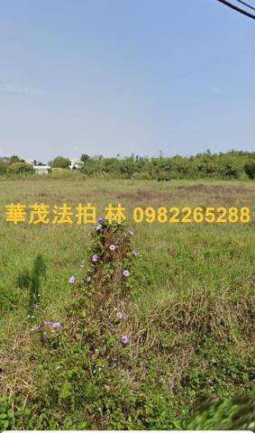 台南白河農牧用地法拍-2