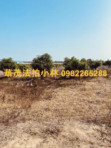 台南農地-2