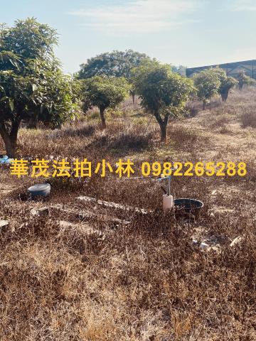 台南農地-3