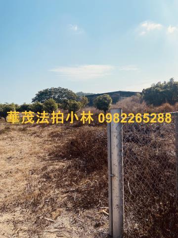 台南農地-4