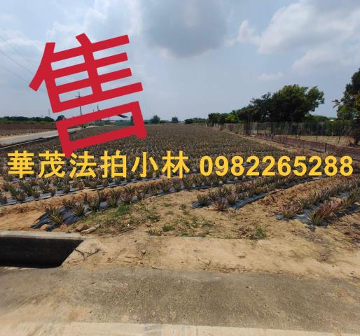 台南農地法拍-0
