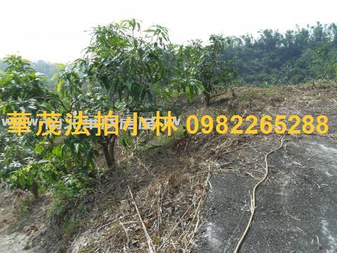 台南左鎮農地-9