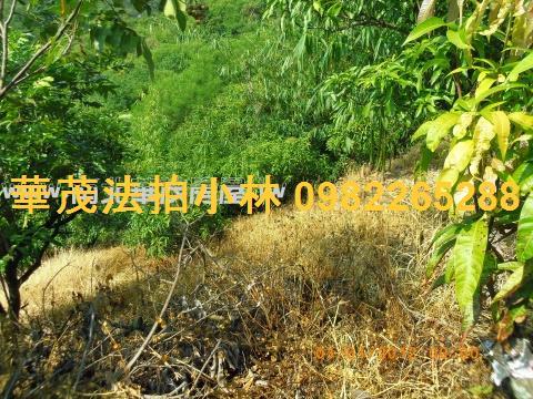 台南左鎮農地-10
