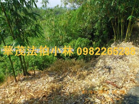 台南左鎮農地-11