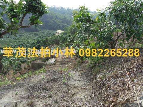 台南左鎮農地-5