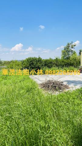 台南農地-10