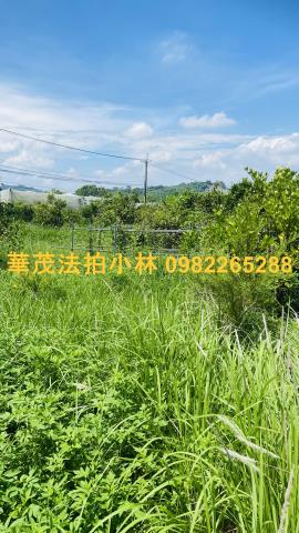 台南農地-11