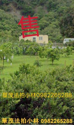 台南農地-13