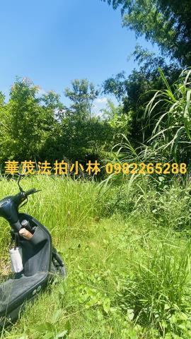 台南農地-5