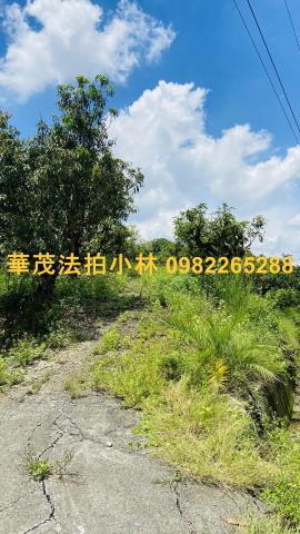 台南玉井農地-7