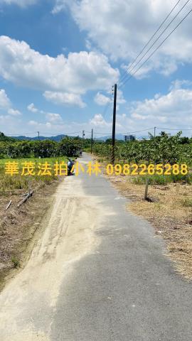台南玉井農地-2