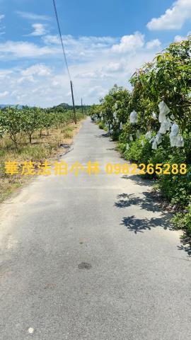 台南玉井農地-9