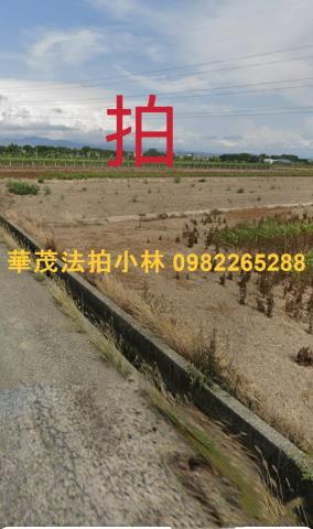 柳營農地法拍-0
