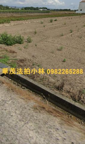 柳營農地法拍-2