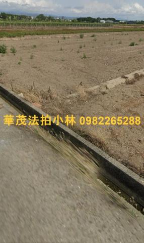 柳營農地法拍-4
