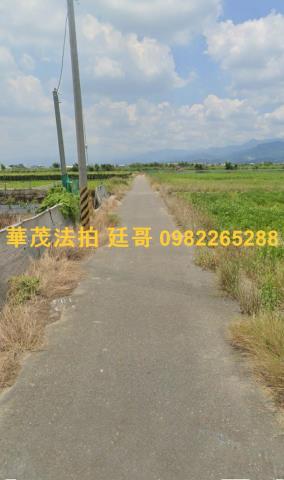 台南農地法拍-5