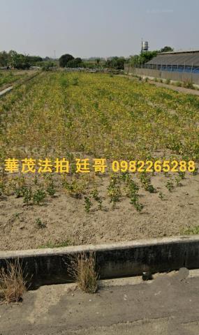 台南後壁拍賣農地-3