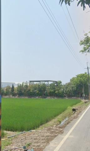 白河農地法拍-13