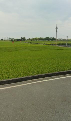鹿草農地法拍-9