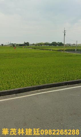 鹿草農地法拍-4