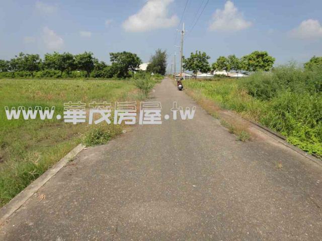 台南學甲農地法拍-1