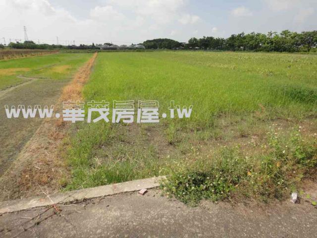 台南學甲農地法拍-2