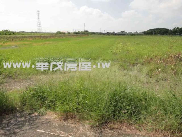 台南學甲農地法拍-4