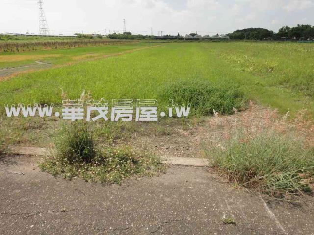 台南學甲農地法拍-5