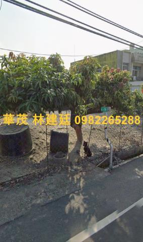 屏東九如拍賣農地-2