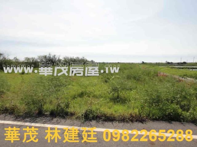 七股農地法拍-3