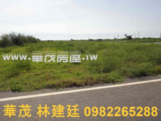 七股農地法拍-4