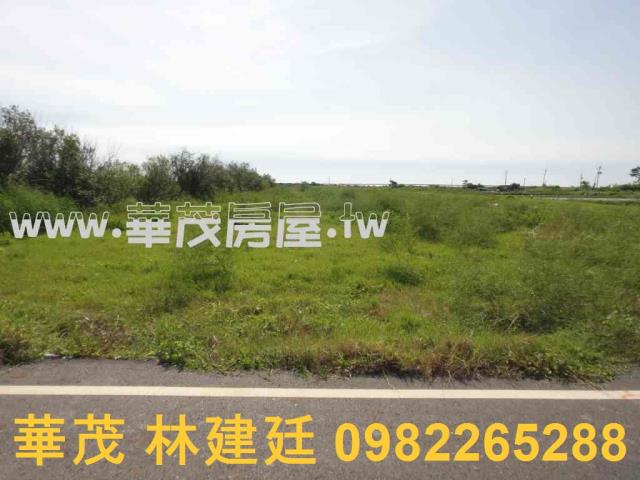 七股農地法拍-5