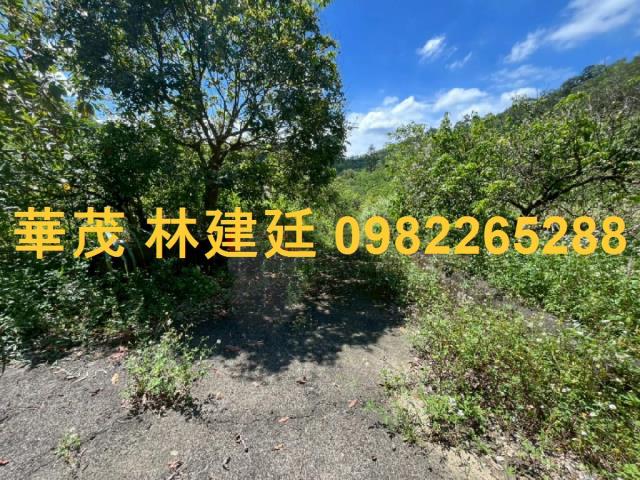 台南玉井山坡地-3