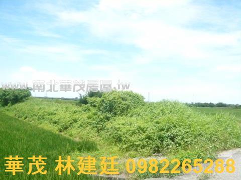 柳營拍賣農地-3