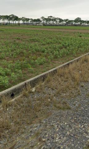 後壁農地拍賣-7