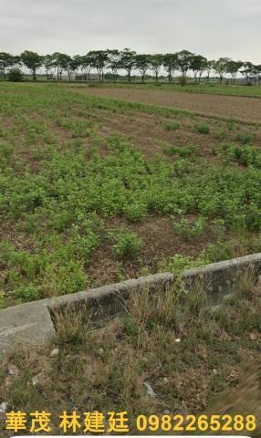 後壁農地拍賣-5