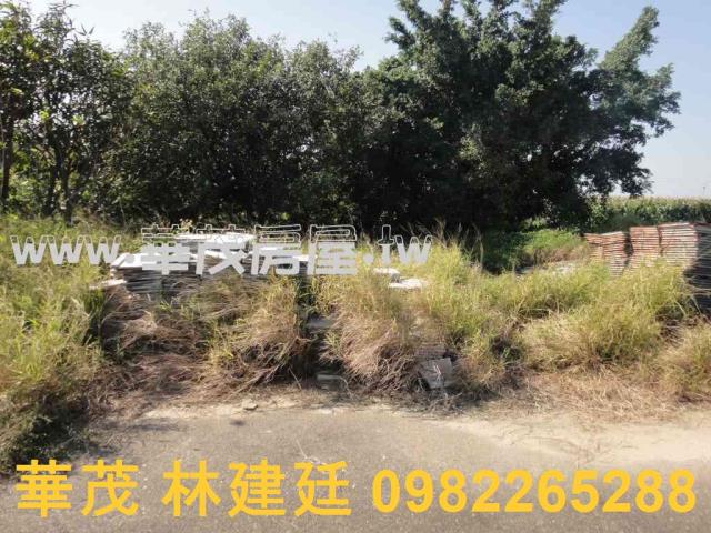 將軍法拍農地-4