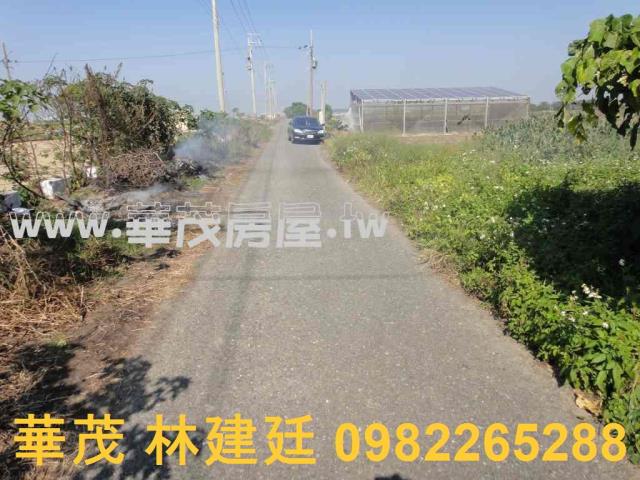 將軍法拍農地-8