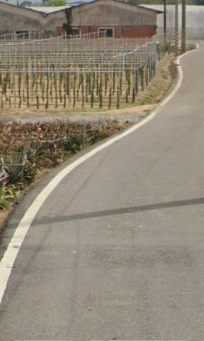 嘉義中埔農地法拍-7