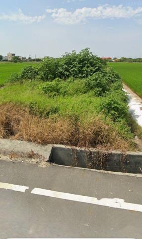 新港農地法拍-7