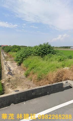 新港農地法拍-5