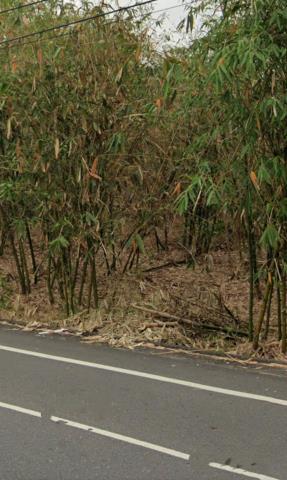 梅山法拍農地-8