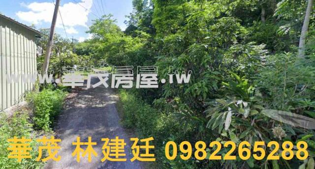 玉井農地拍賣-3