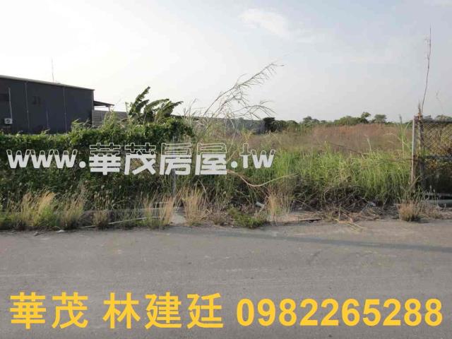 台南法拍農地-4