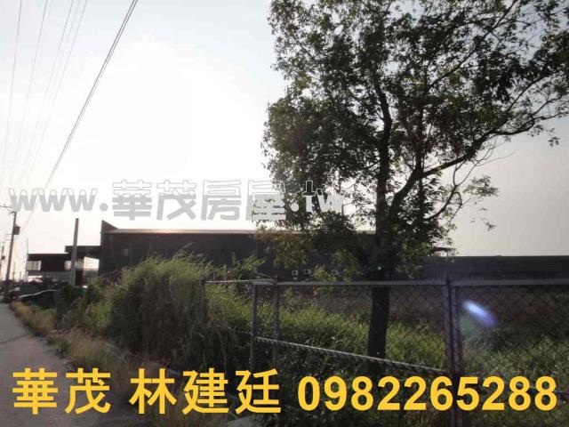 台南法拍農地-6