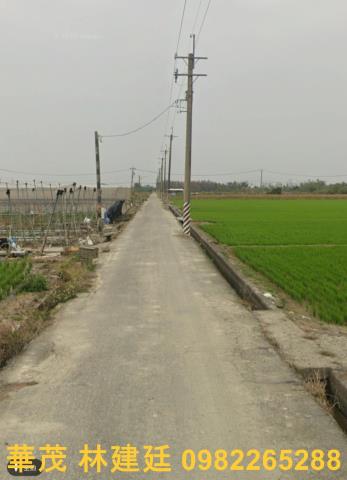 台南東山法拍農地-0
